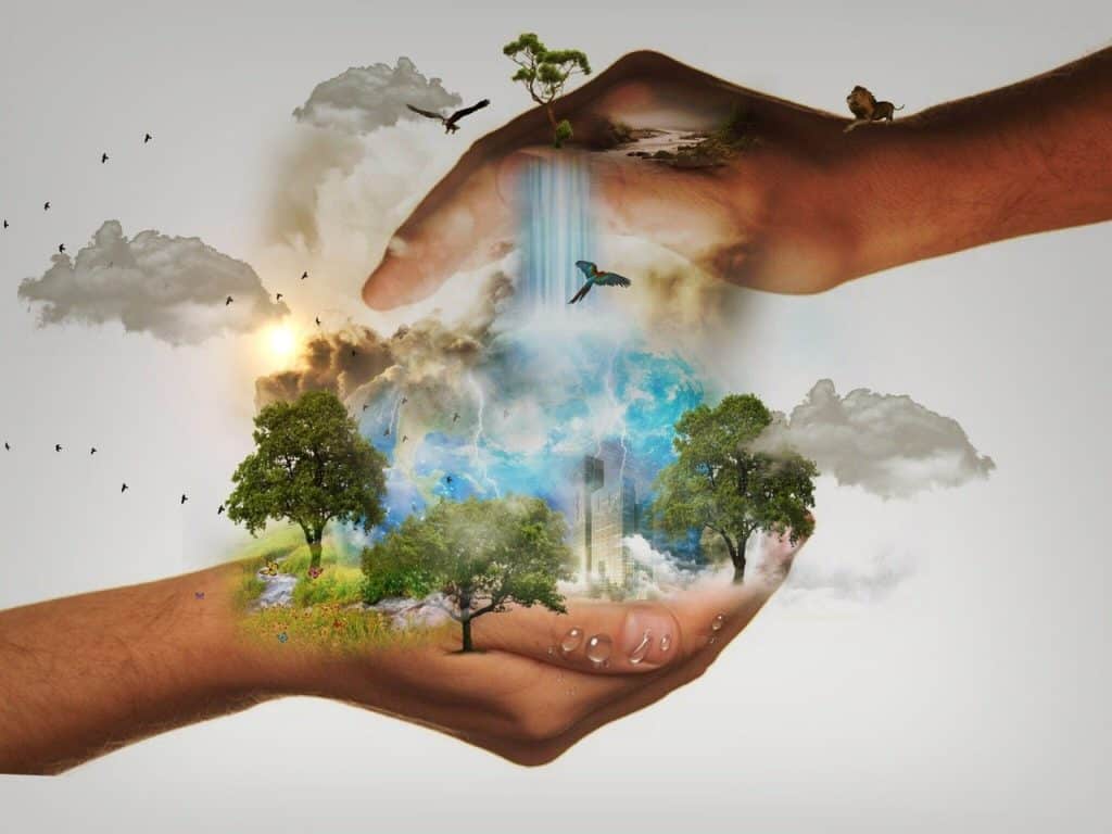 cord blood banking's future